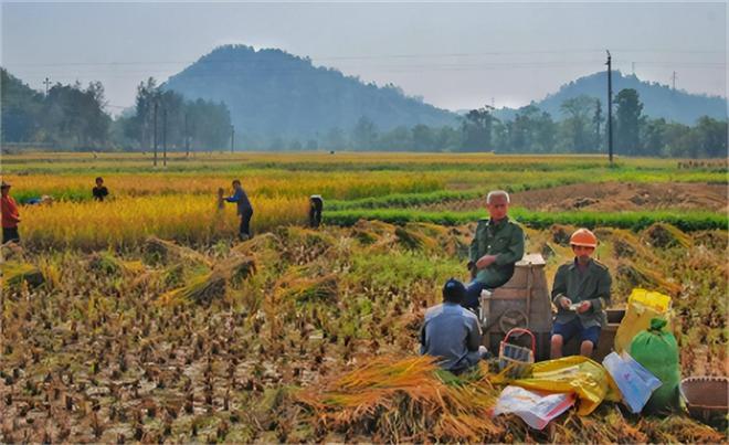 魔成过去式这三种正式被列入相亲黑名单冰球突破豪华版新型不娶正在蔓延:扶弟(图13) 魔成过去式这三种正式被列入相亲黑名单冰球突破豪华版新型不娶正在蔓延:扶弟(图13)